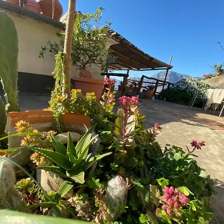 Giardino Eden